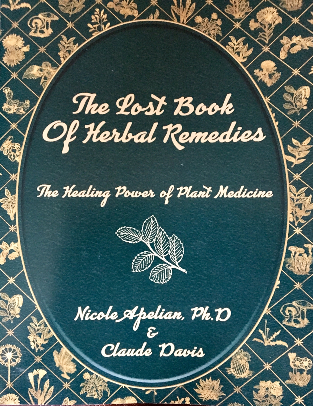 The Lost Book of Herbal Remedies: The Healing Power of Plant Medicine
