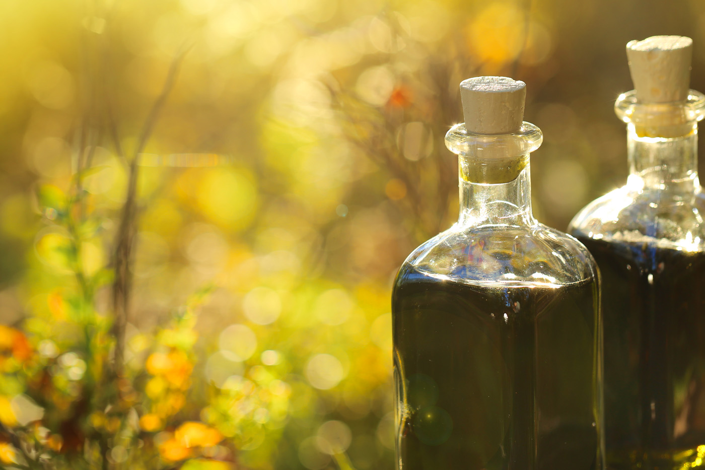 Why Medicinal Mushroom Tinctures are My Top Choice for Autoimmune Disorders