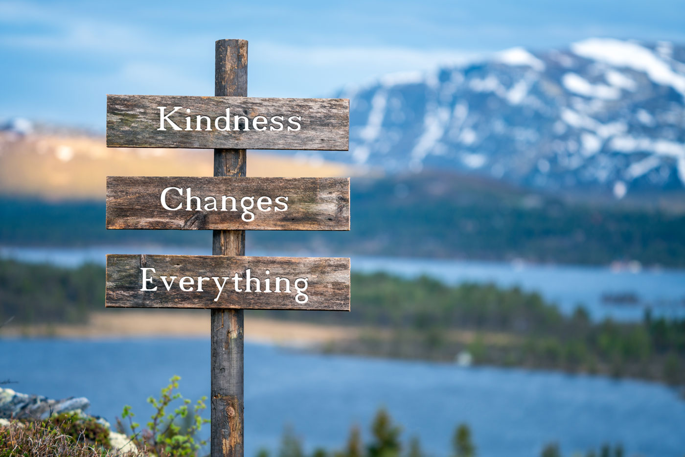 Want to Live a Healthier, Happier Life? Practice Kindness