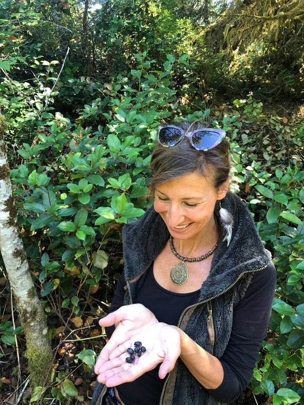 foraging 101 salal berries