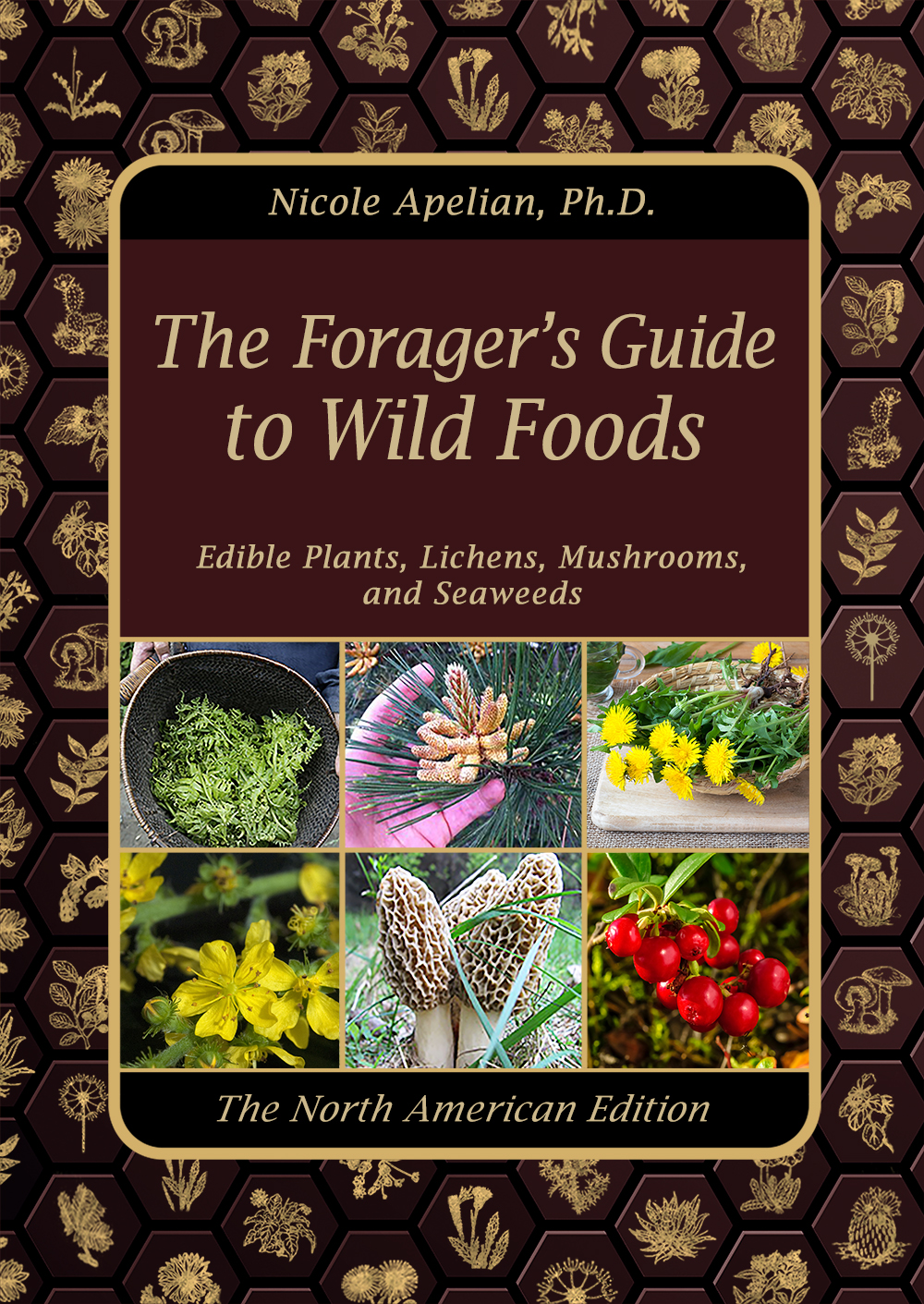 The Forager’s Guide to Wild Foods: Edible Plants, Lichens, Mushrooms, and Seaweed