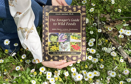 The Foragers Guide to Wild Foods book