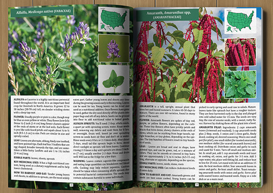 The Foragers Guide to Wild Foods plant id description and range maps
