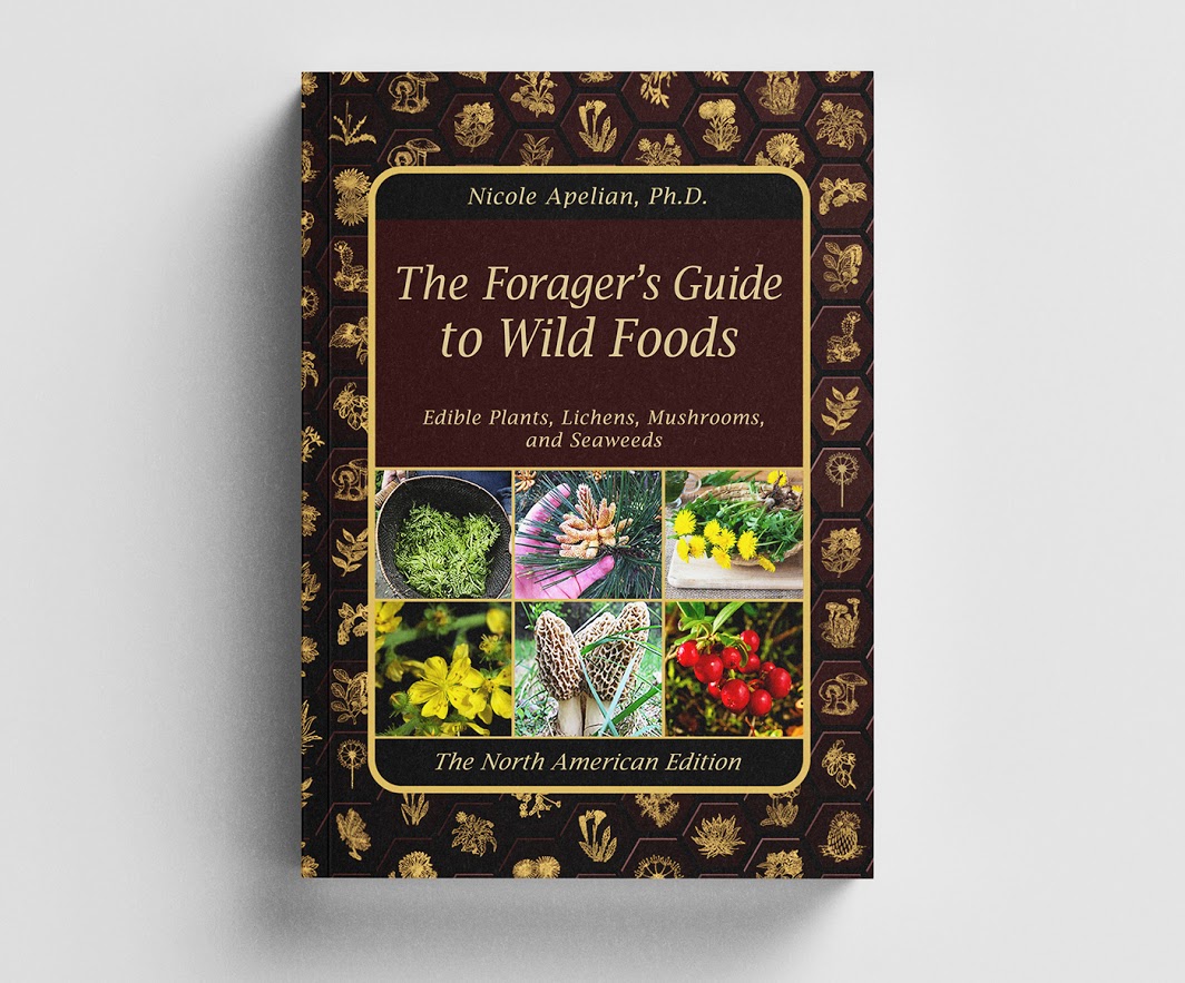 the foragers guide to wild foods