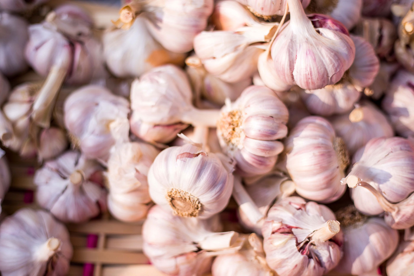 garlic bulbs