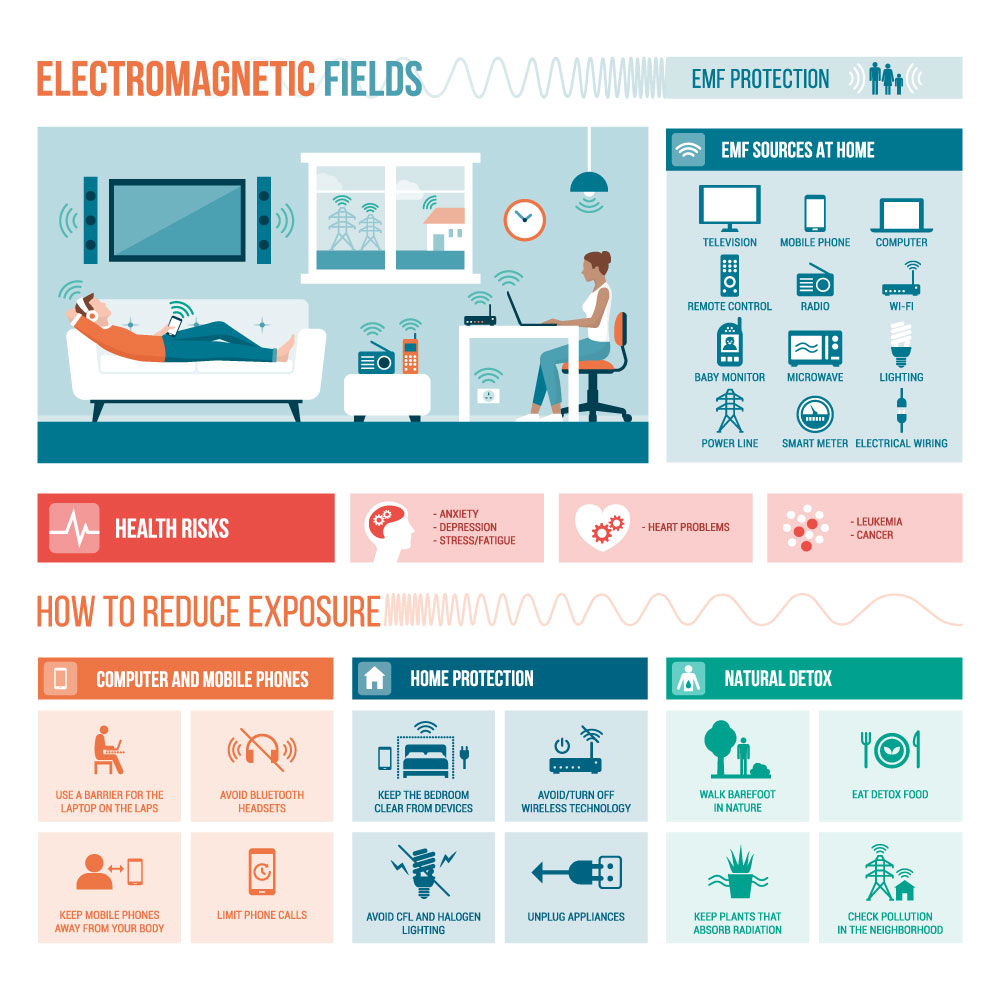 Electromagnetic fields in the home infograph EMFs