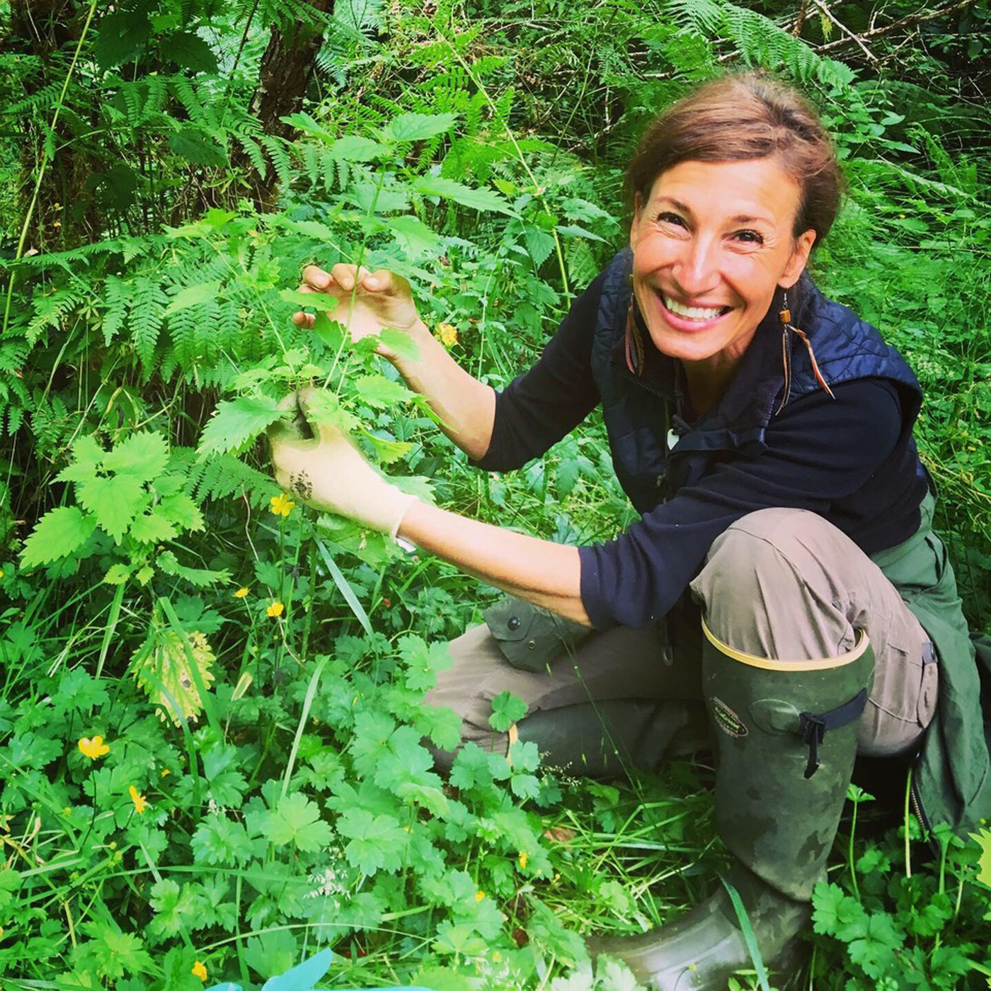 Nicole Apelian harvesting Stinging Nettle