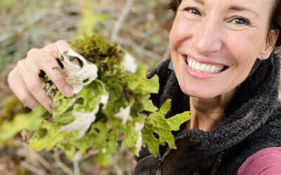 Herbal Focus: Lungwort Lichen Lobaria pulmonaria
