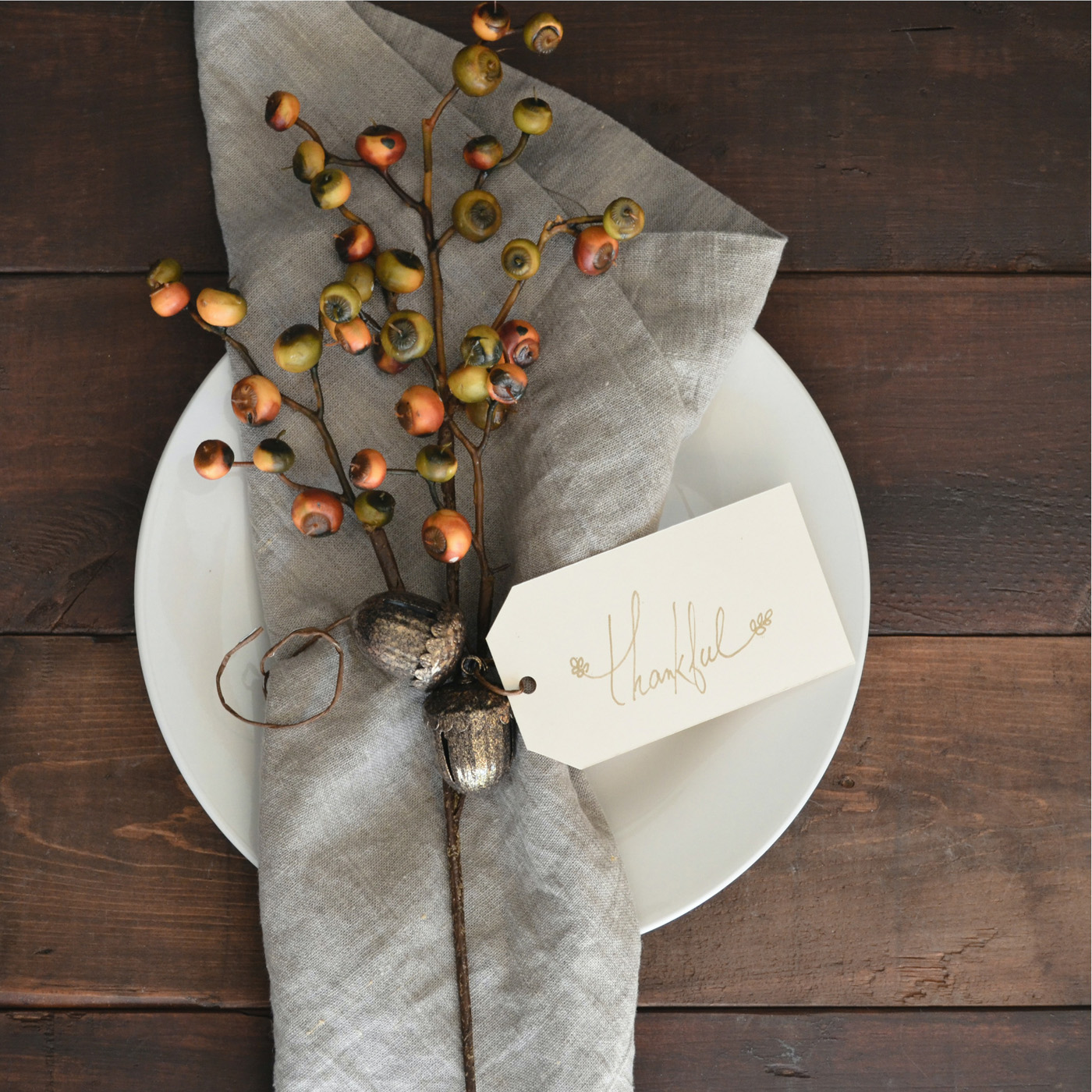 How to Have a Healthy, Happy Thanksgiving — Wild Food Recipe Included!