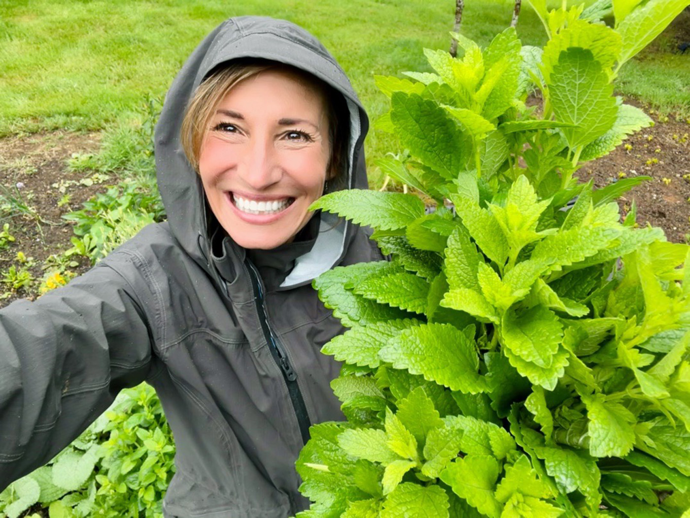 Nicole Apelian picking Lemon Balm in the rain