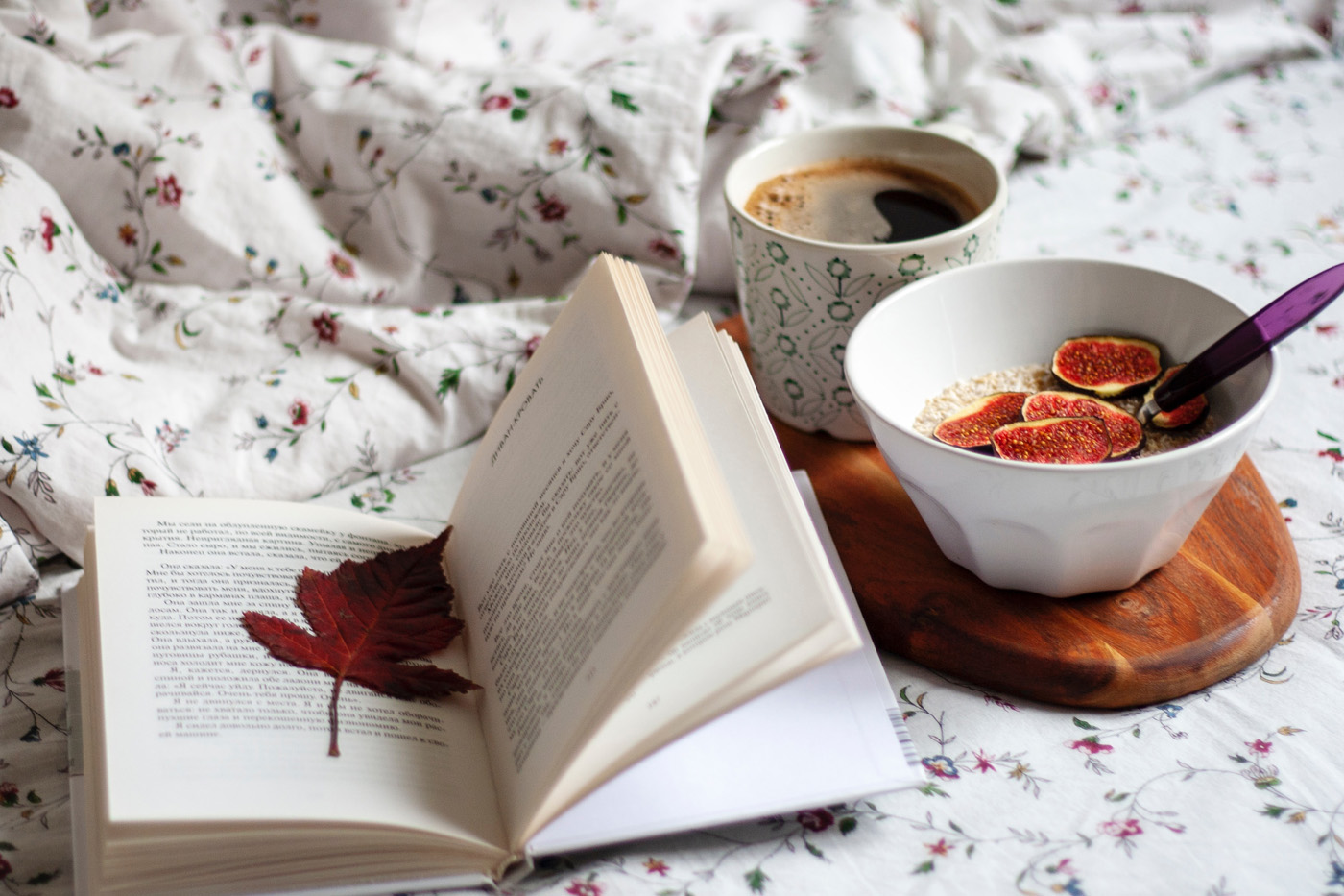 open book and bowl of oatmeal with figs