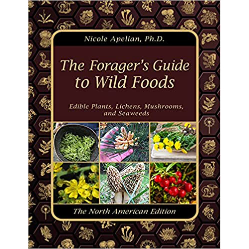 The Forager’s Guide to Wild Foods by Nicole Apelian PhD