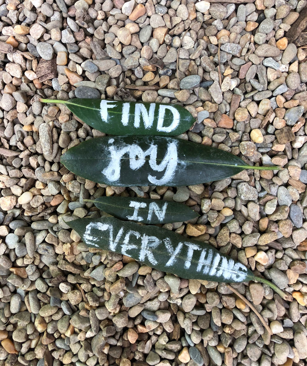 Find joy in everything painted leaves on gravel