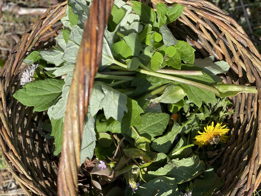 Basket of edible greens