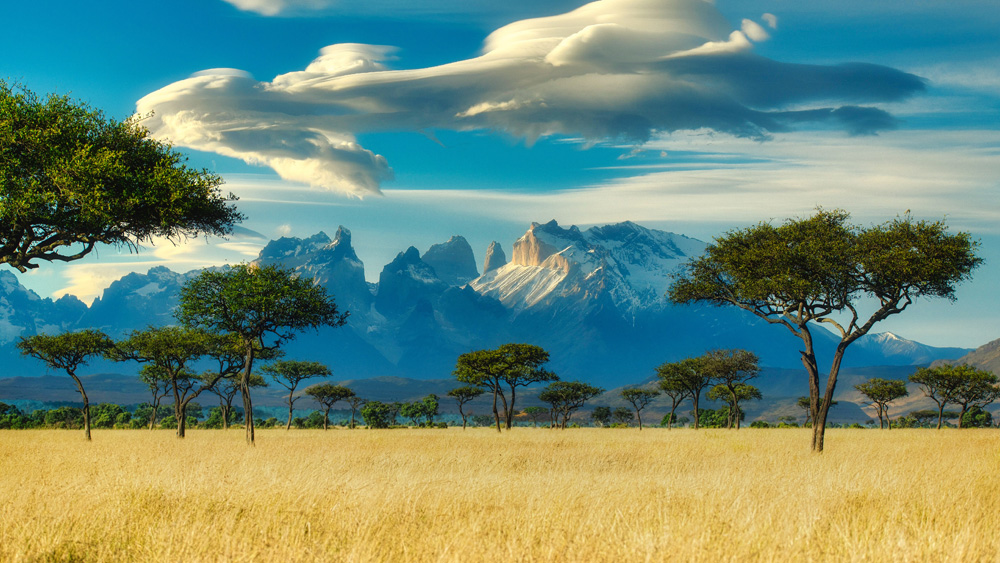 golden vista with trees, mountains, and clouds