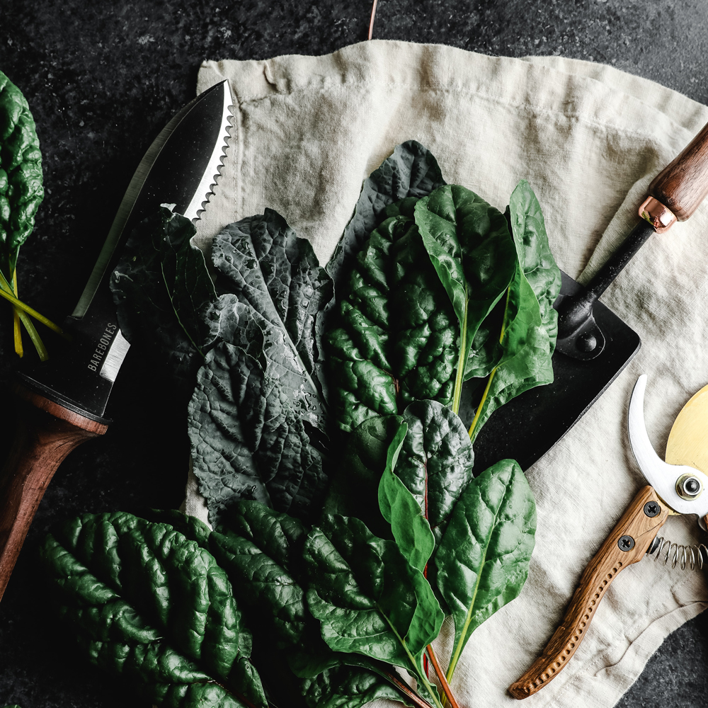 leafy greens and garden tools on a stone counter.jpg