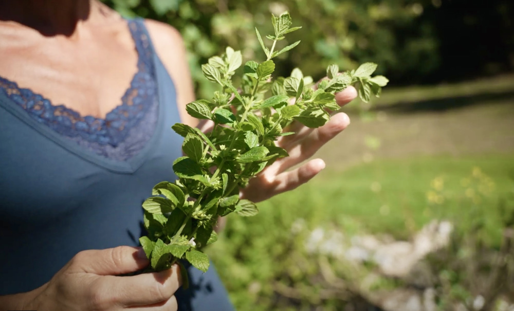 close up of Nicole Apelian with lemon balm harvest in garden