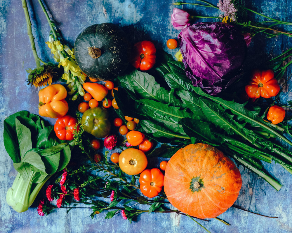 vibrant vegetables herbs and flowers