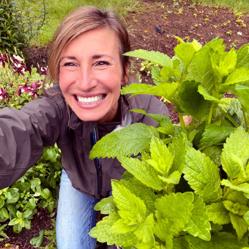 Nicole Apelian harvesting Lemon Balm