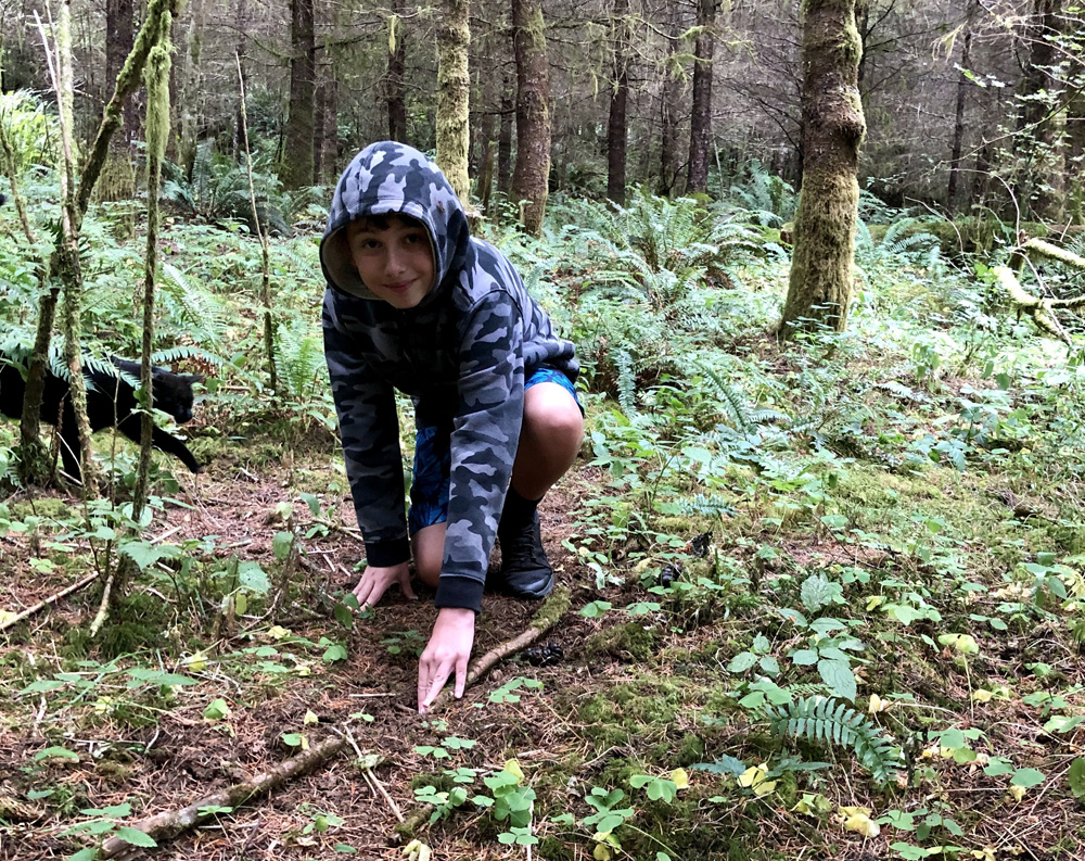 Let’s Play! How Forest Floor Playgrounds Build Stronger Microbiomes in Kids