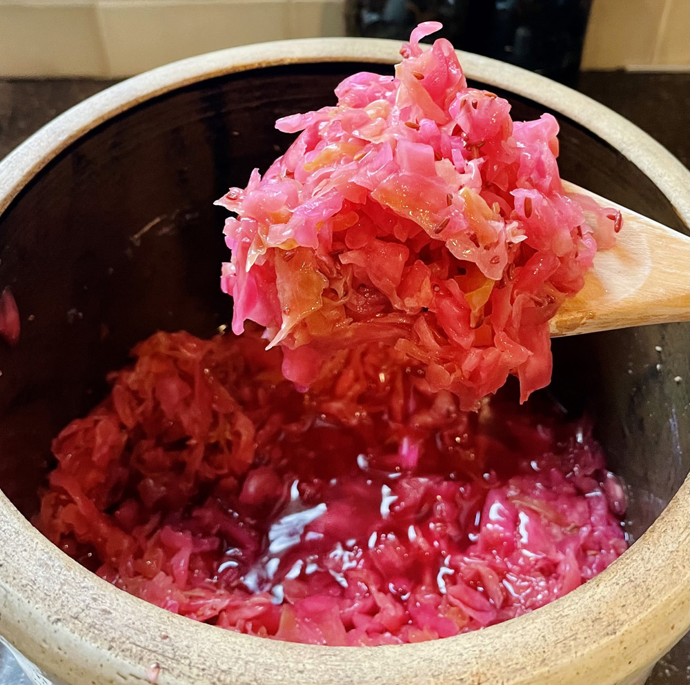 probiotic sauerkraut pickled cabbage