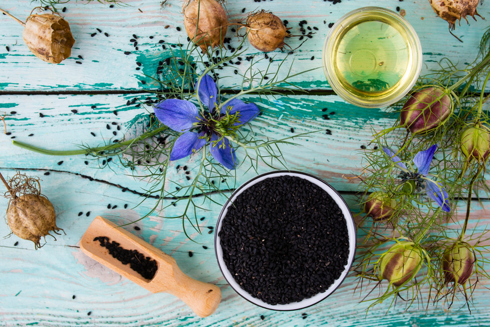 Nigella sativa: A Small But Mighty Seed for Autoimmunity, Alzheimer’s, Cancer, and Much More!