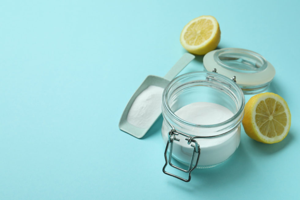 Citric Acid, Black Mold, and You » Survive and Thrive with Nicole Apelian