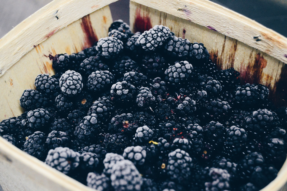 frosty blackberries