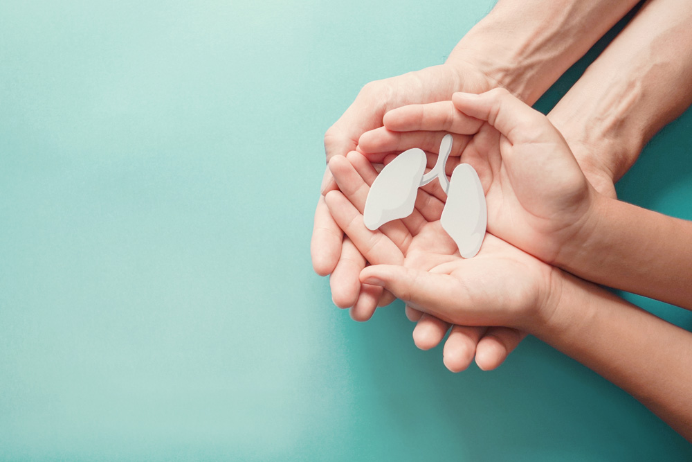 Adult and child hands holding lung