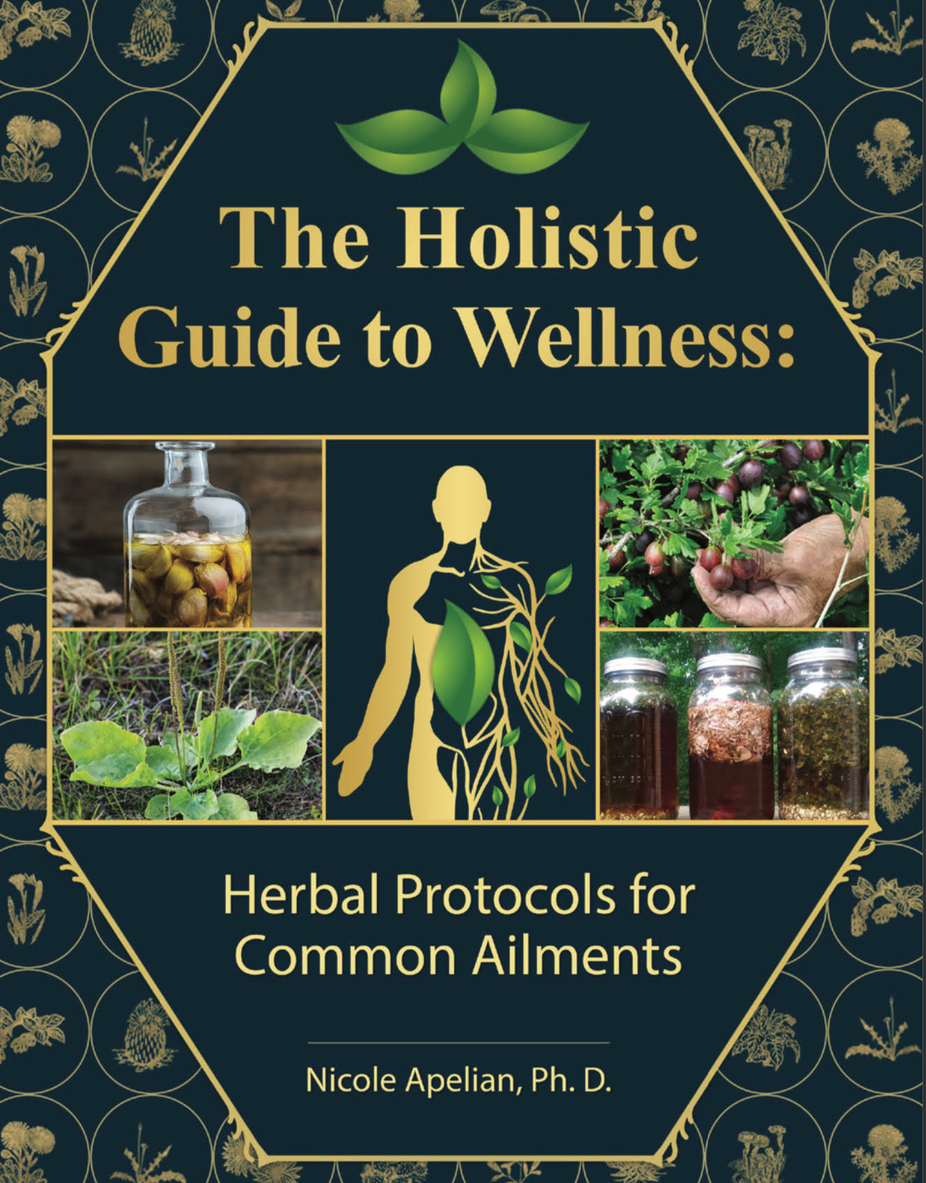 Holistic Guide to Wellness by Nicole Apelian 