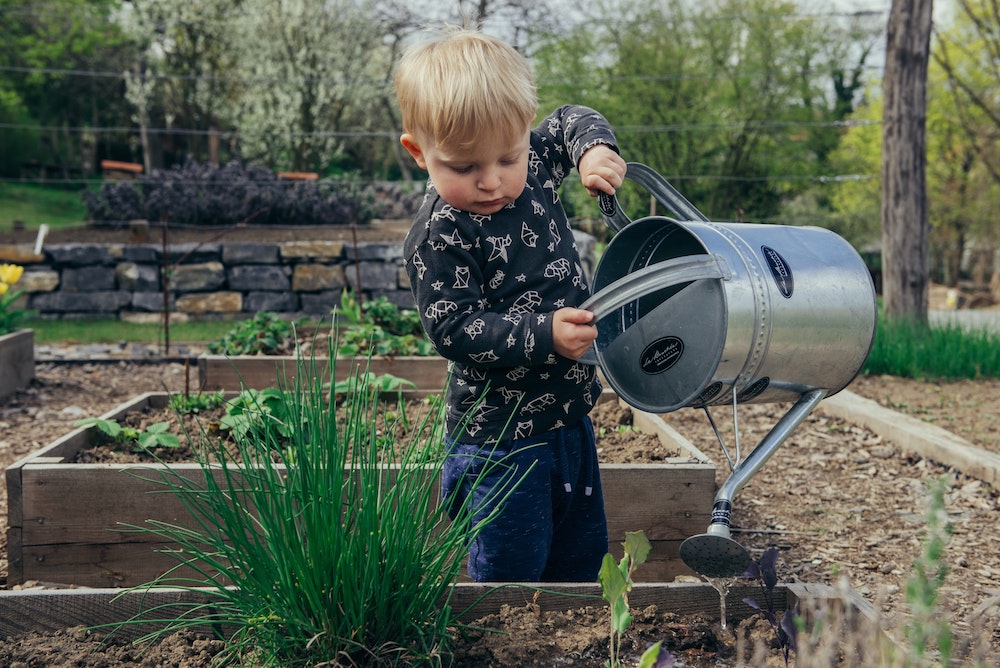 small boy watering garden with metal can