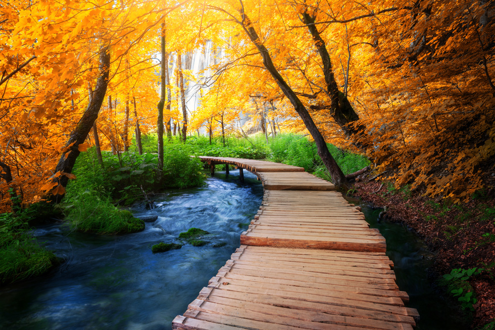 Beautiful wooden path trail for nature trekking with lakes and waterfall landscape Plitvice Lakes National Park, UNESCO natural world heritage and famous travel destination of Croatia