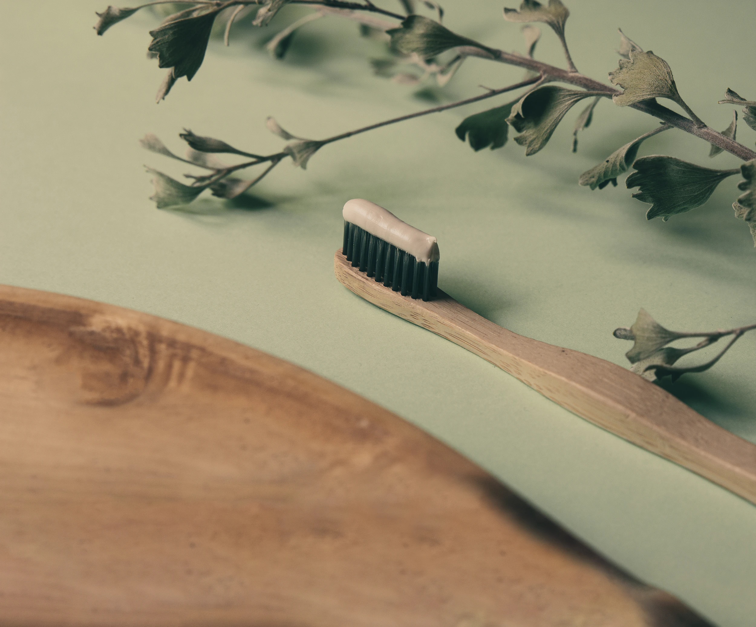 Wooden toothbrush-toothpaste-greens