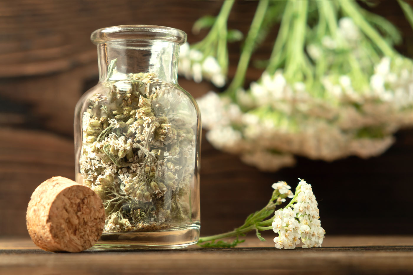 harvested yarrow in a jar