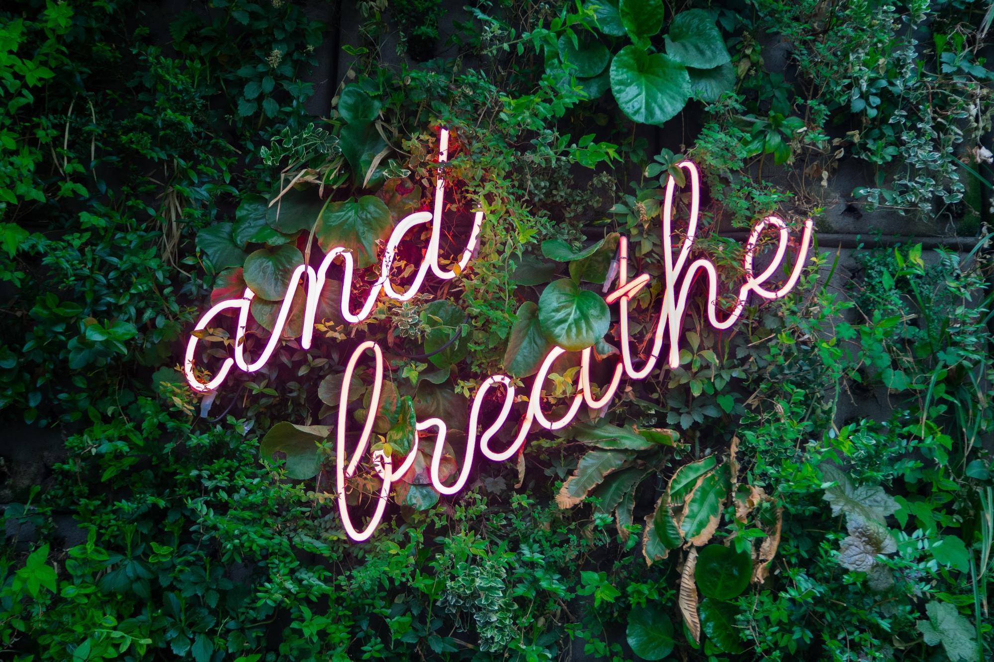 neon text "and breathe" on greenery