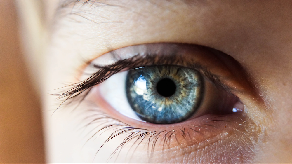 closeup of blue green eye