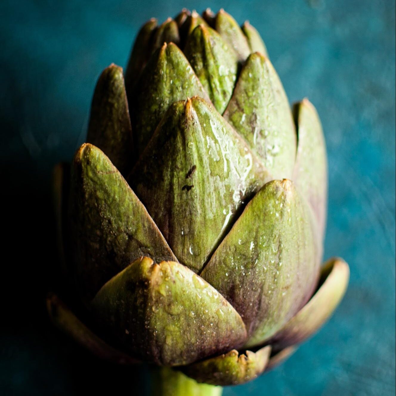 artichoke