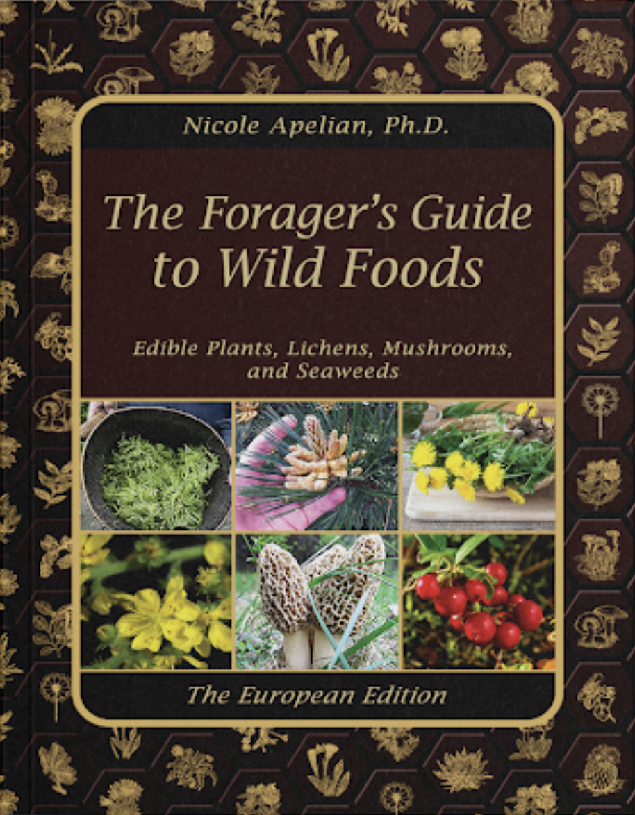 The Forager's Guide to Wild Foods European Edition by Nicole Apelian