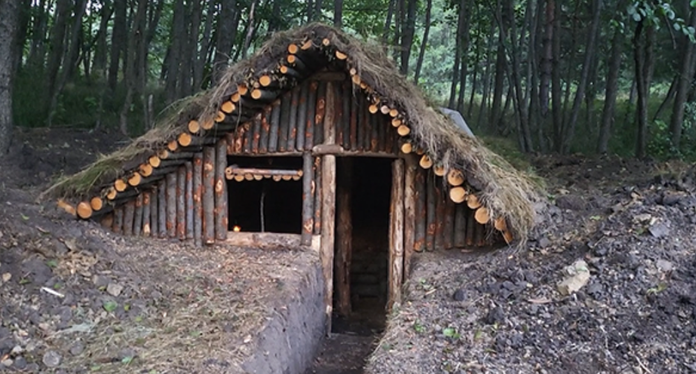 log shelter
