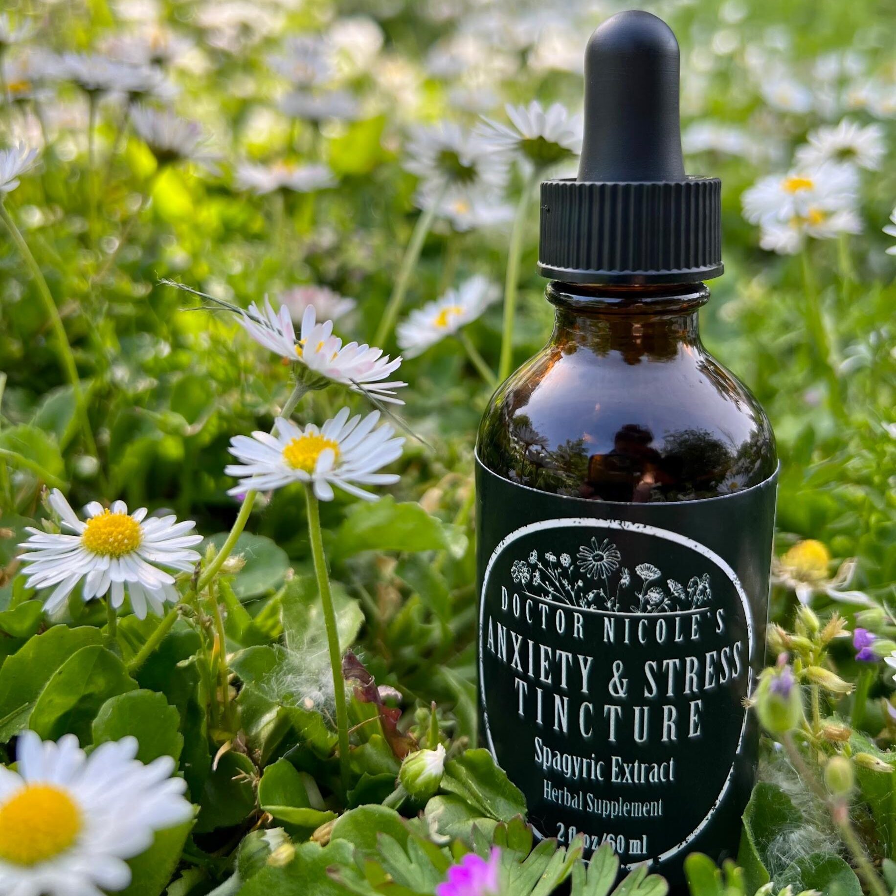 Nicoles Apothecary Anxiety & Stress Tincture in a bed of chamomile