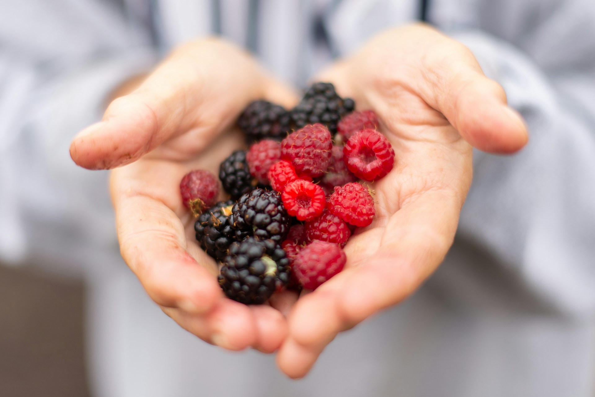 assorted berries cupped in two hands
