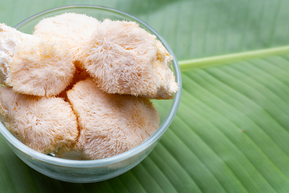 bowl of lion's mane mushroom atop large leaf 