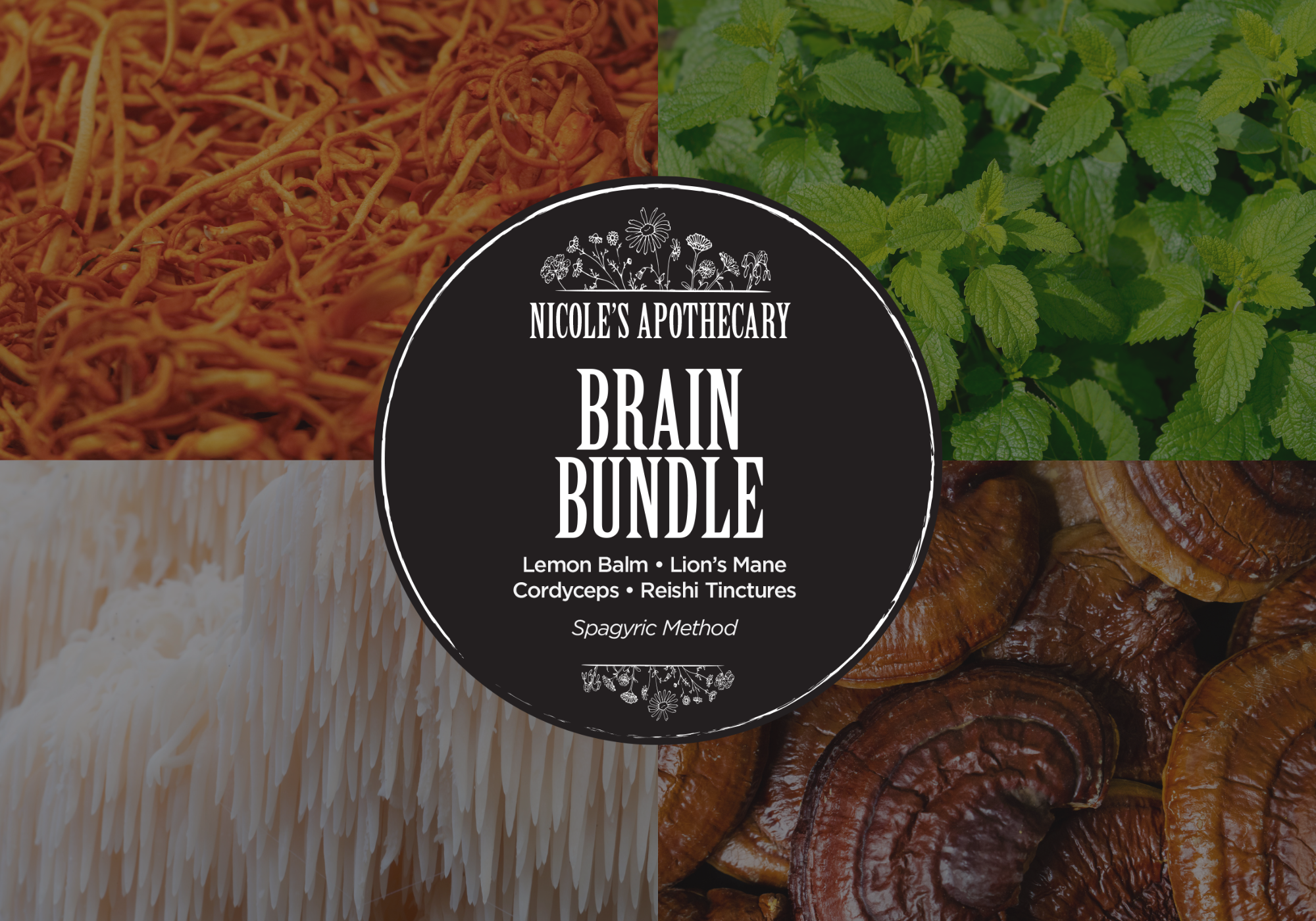 Nicoles Apothecary Brain Bundle graphic