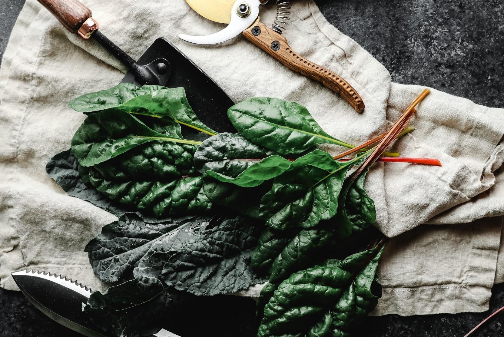 leafy greens on worktable