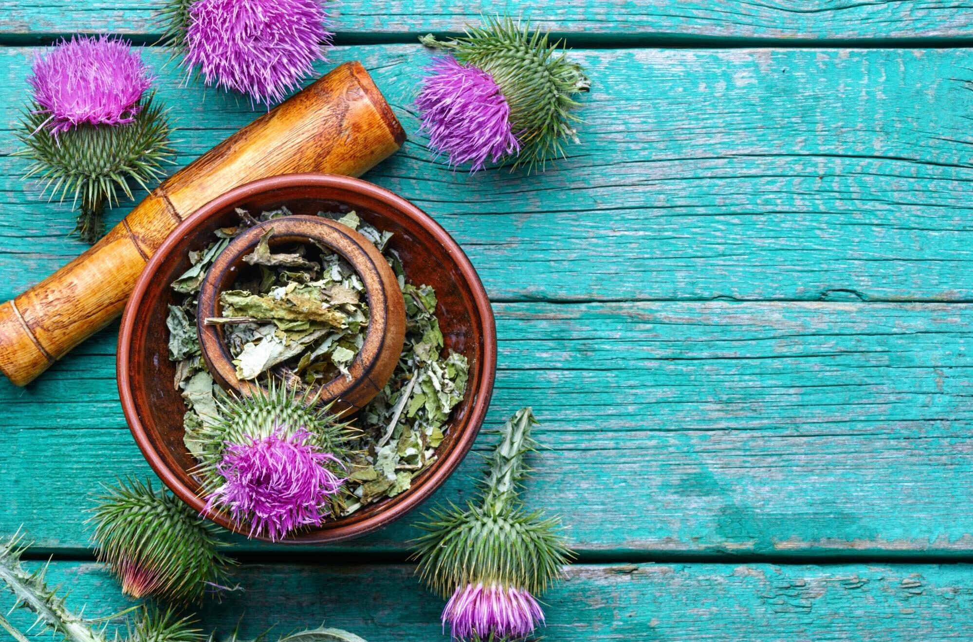milk thistle preparation milk thistle preparation