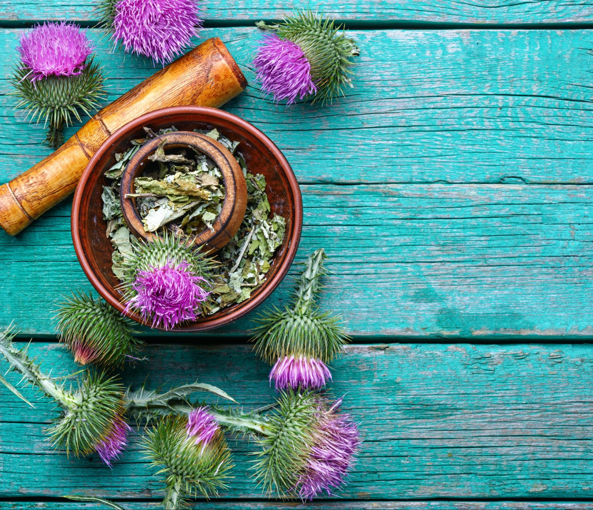 milk thistle preparation