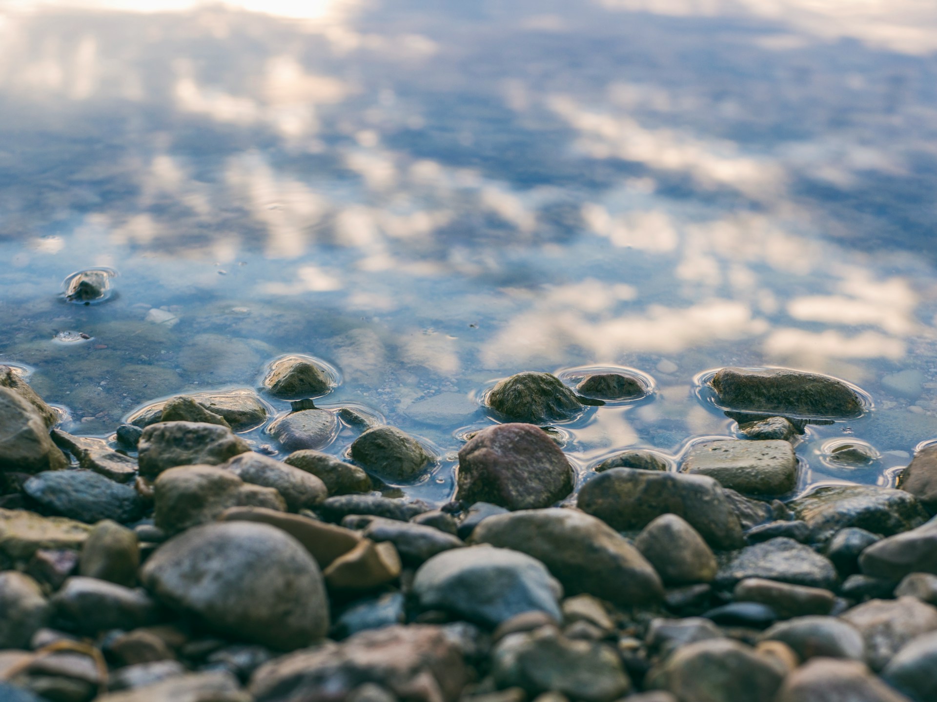 river rocks on bank river rocks on bank