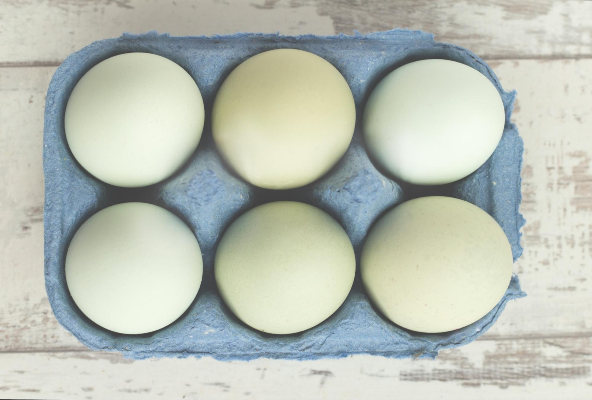 green eggs in carton green eggs in carton