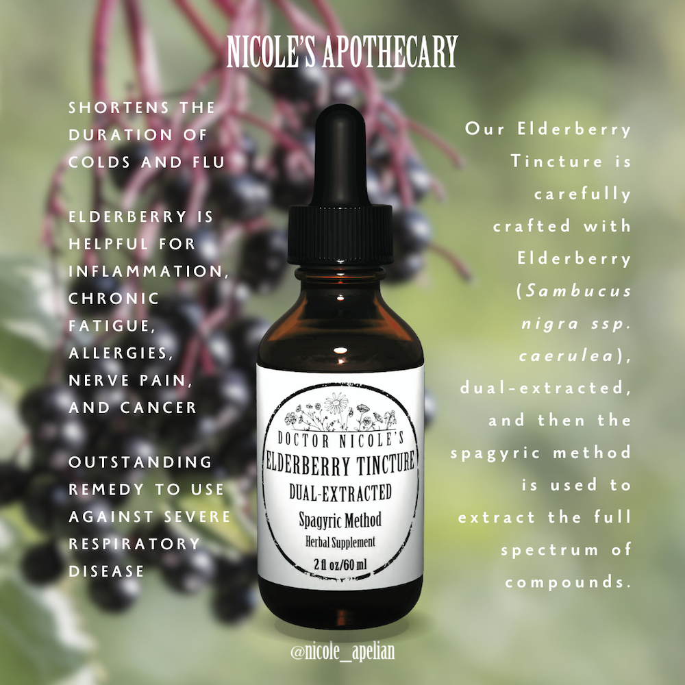 Nicole's Apothecary Elderberry Tincture information graphic