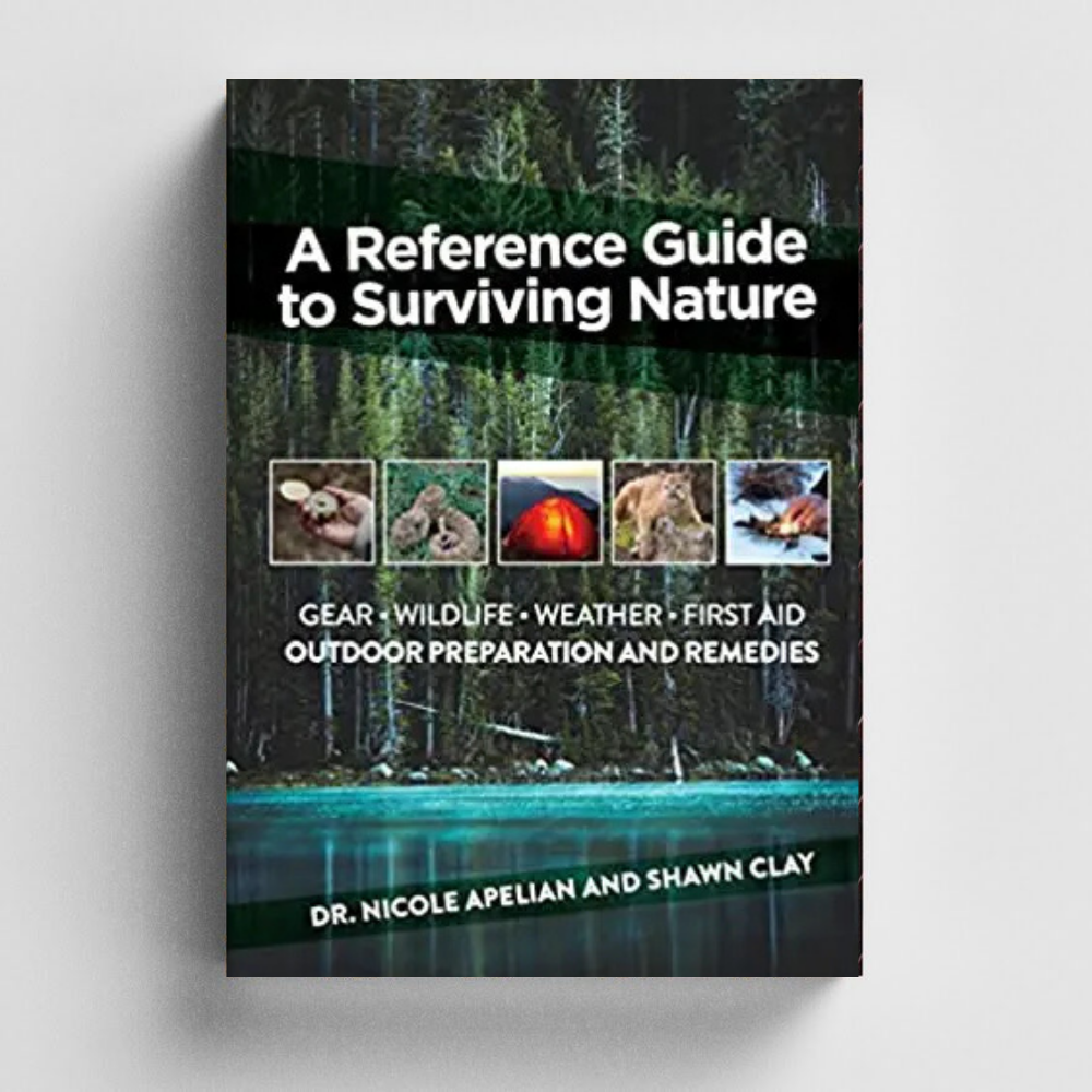 The Holistic Guide to Wellness